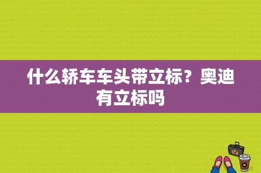 什么轿车车头带立标？奥迪有立标吗-图1