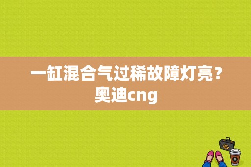 一缸混合气过稀故障灯亮？奥迪cng