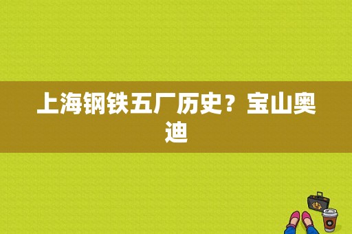 上海钢铁五厂历史？宝山奥迪