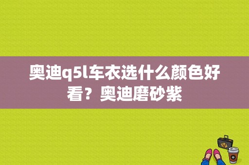 奥迪q5l车衣选什么颜色好看？奥迪磨砂紫-图1