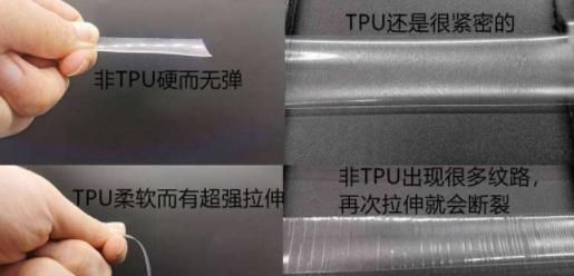 thp什么意思（tph在性取向里代表啥）