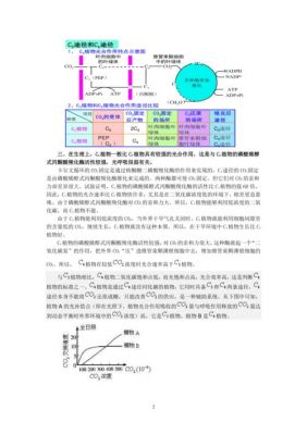 c4表示什么（c4c4是什么意思）-图3