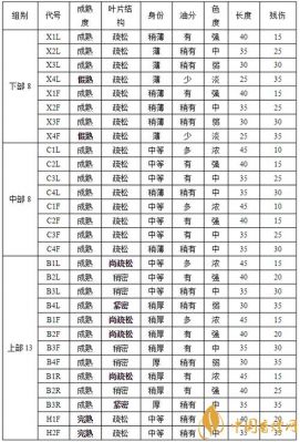 分级的含义是什么（分级包括）-图1