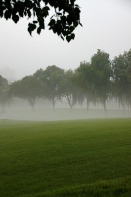 下雨是什么雾（下雨天的雾是雾霾吗）-图2