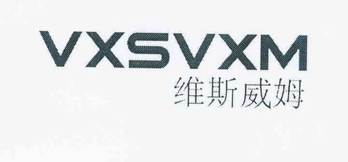 vx是什么品牌（vxsvxm是什么品牌）