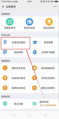 什么软件可以代交罚款（什么软件能代缴违章罚款）-图3