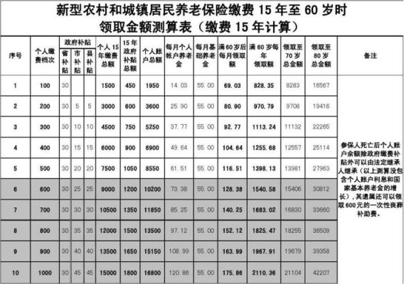 6000什么保险（6000的保险）-图3