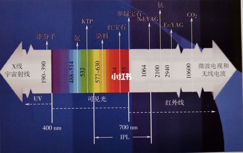 什么是dpl（什么是DPL语言,它的特点是什么）-图3