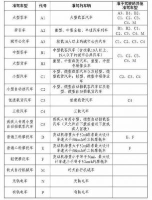 自动挡车驾照考什么（自动挡车驾照考什么科目）-图2