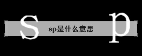 spt是什么意思啊（sp+是什么意思呢）-图1