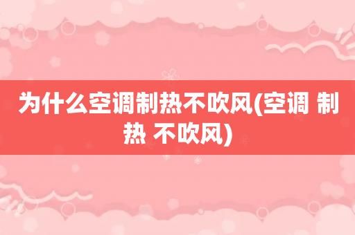 为什么空调不吹风（为什么空调不吹风不制热）-图2