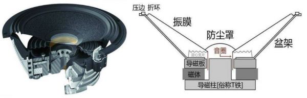 喇叭双磁铁有什么区别（喇叭双磁铁有什么区别和用途）-图1