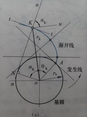 齿轮的渐开线是什么（齿轮渐开线的形状取决于什么）