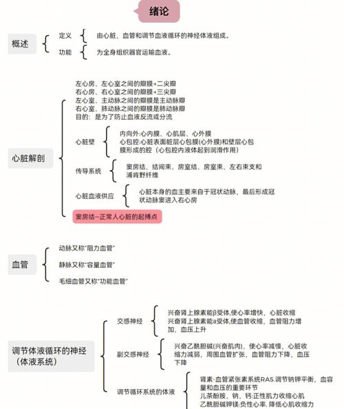 循环科是什么科（循环内科是什么意思）