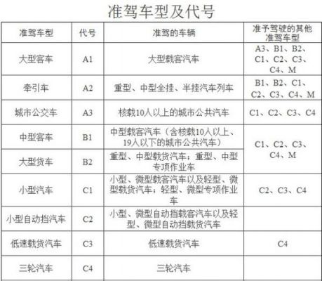 a1的驾照能开什么车（a1驾照能驾驶什么车）