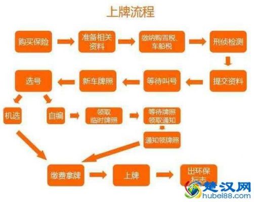 买车办牌照要什么手续（买车办牌交税的步骤）-图2