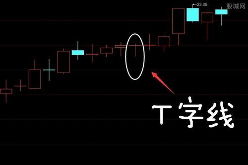 老t是什么（老T是什么意思?）-图2