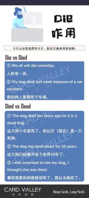 什么是死款（什么是死呢）