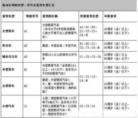 考b1驾照需要什么条件（b2考b1驾照需要什么条件）-图2