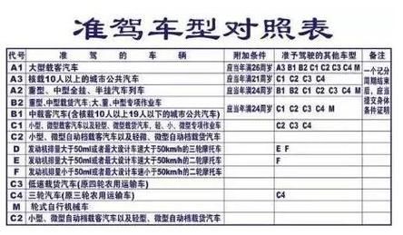 考b1驾照需要什么条件（b2考b1驾照需要什么条件）-图3