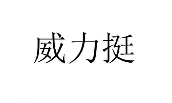 威什么力什么（威力的威是什么意思）-图1