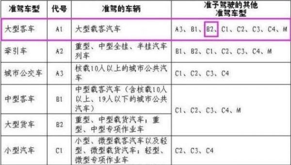 考c1驾照需要什么条件（考c1驾照需要什么条件才能考）-图1