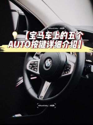 宝马auto是什么意思（宝马AUTO是什么意思）-图1