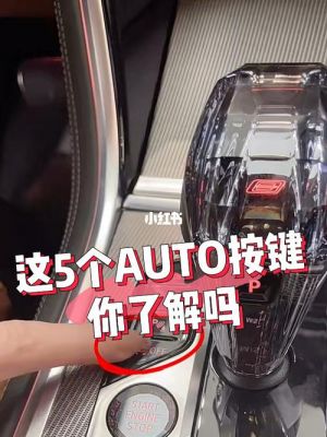 宝马auto是什么意思（宝马AUTO是什么意思）-图2