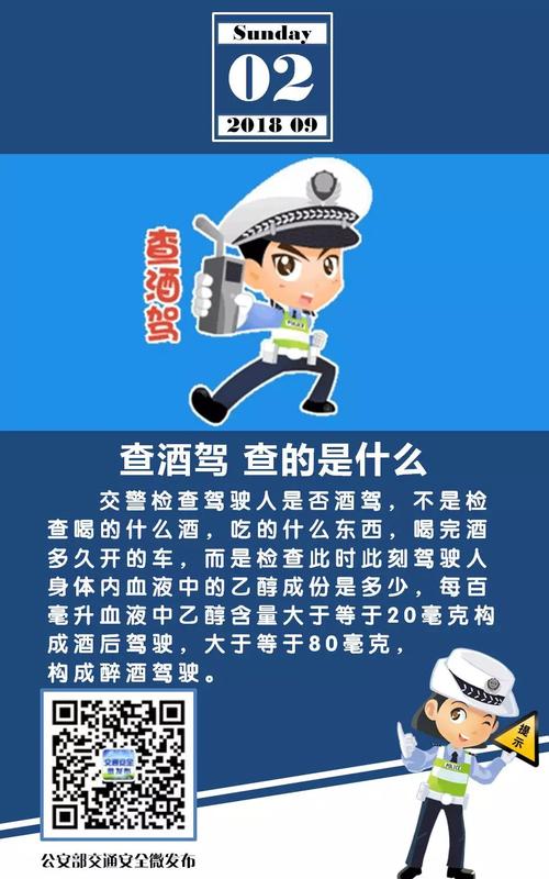 交警是什么梗的简单介绍-图3