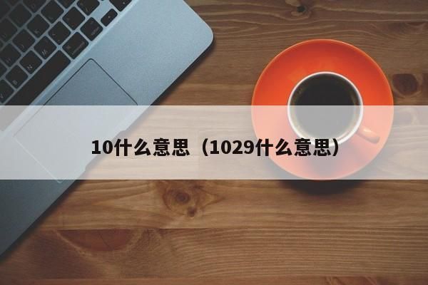 1029是什么意思（10291是什么意思）