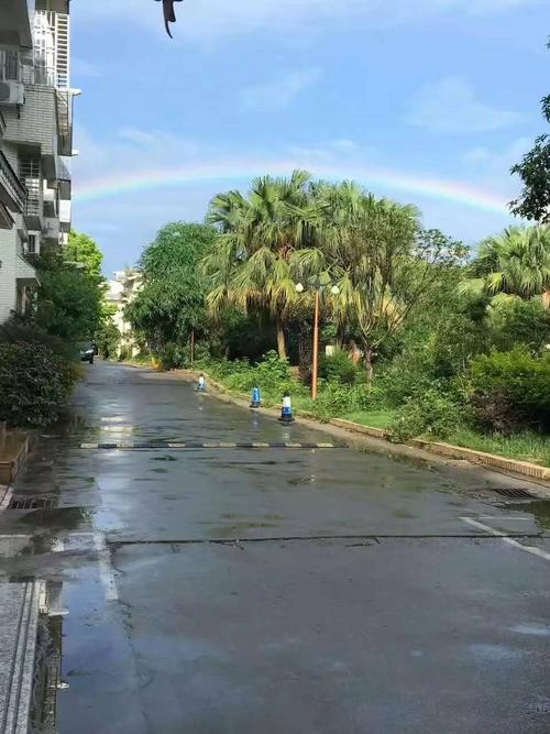 为什么有雨（为什么有雨后彩虹）-图3