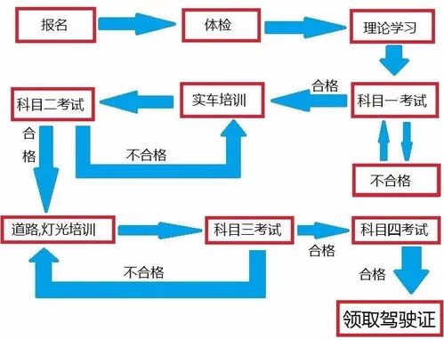 考驾照准备什么（考驾照准备什么东西）