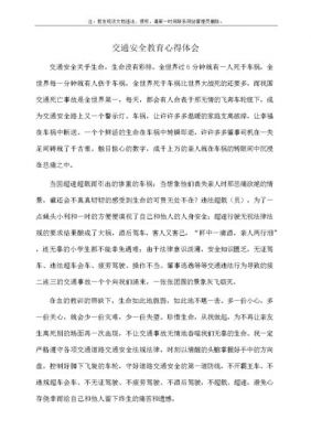 交通体验是什么（参加交通体验教育心得体会）-图2