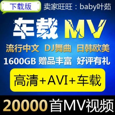 车载mv支持什么格式（车载mv什么格式可以放出来）-图2