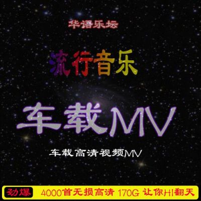 车载mv支持什么格式（车载mv什么格式可以放出来）-图3