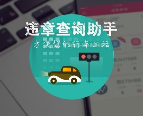 车辆查违章用什么软件好（车辆查询违章用什么软件）-图3