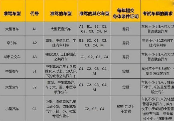 c1车本能开什么车（c1本能开什么车型）-图1