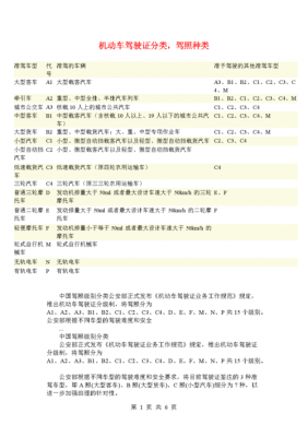 驾驶员等级证有什么用（驾驶员等级划分）-图3