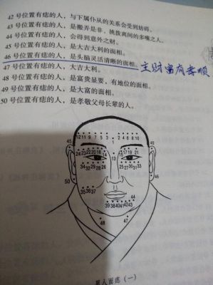 所示是什么意思（如你所示是什么意思）-图1