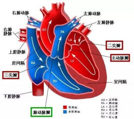 主闭是什么意思（主闭的体征）-图2