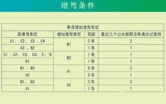 报考a1驾照需要什么条件（报考a1驾照需要什么条件才能考）-图1