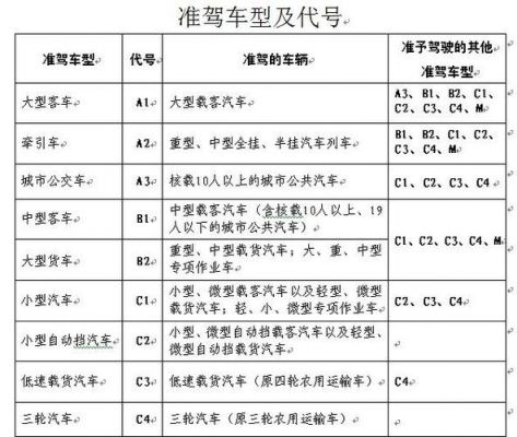 开小轿车需要什么驾照（开小轿车需要什么驾照和驾照）-图2