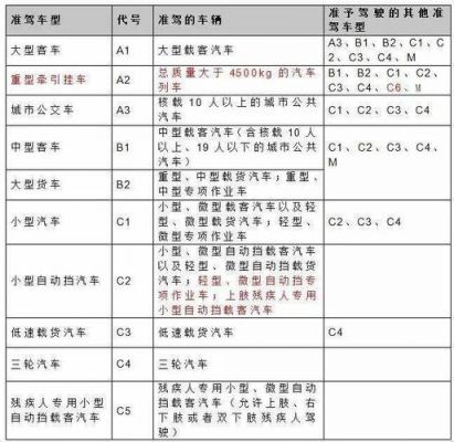 开小轿车需要什么驾照（开小轿车需要什么驾照和驾照）-图3