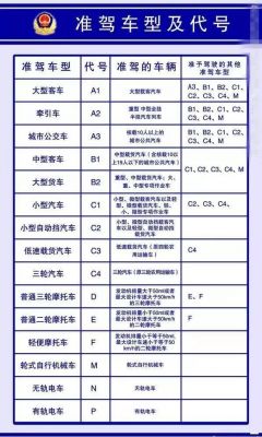 c1驾照什么样的（c1驾照什么样的车都可以开）-图1