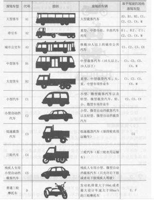 驾驶证b1能开什么车型（b1驾驶证能开什么车型）-图3