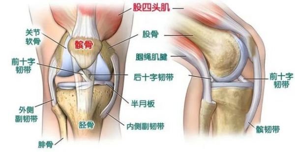 漆盖疼挂什么科（漆盖关节疼做什么检查）-图3