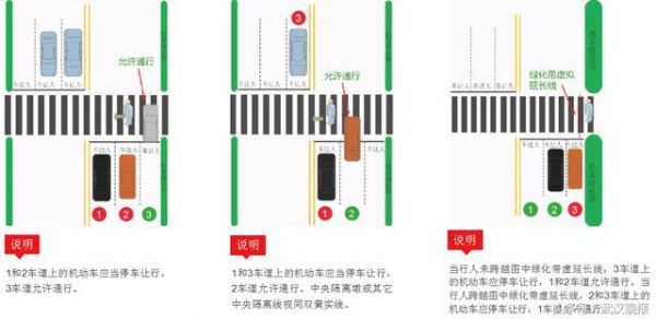 什么叫礼让行人（新交规礼让行人图解视频）-图2