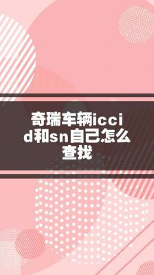 iccid是什么意思（奇瑞车辆iccid是什么意思）