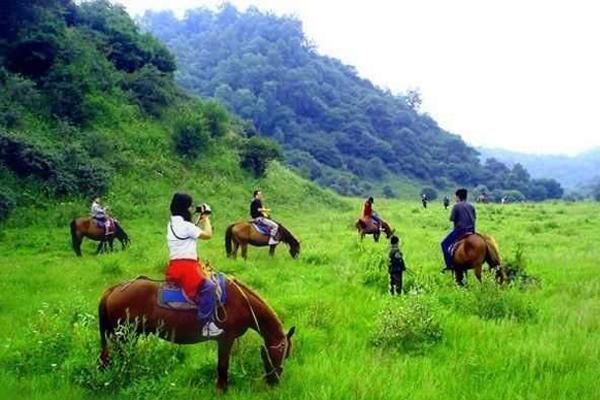 7月去关山牧场穿什么（7月去关山牧场穿什么衣服合适）-图2