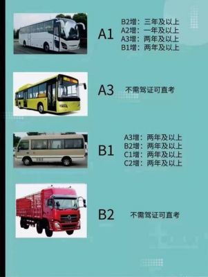 b2驾照都开什么车型（b2驾照一般开什么车）-图3